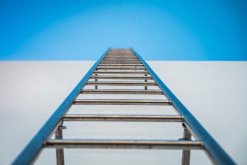 Which Ladder Are You Climbing?